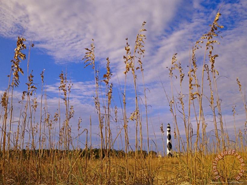 Raymond Gehman Cape Lookout Lighthouse Framed by Sea Oats Under a Cloudy Sky Art Painting