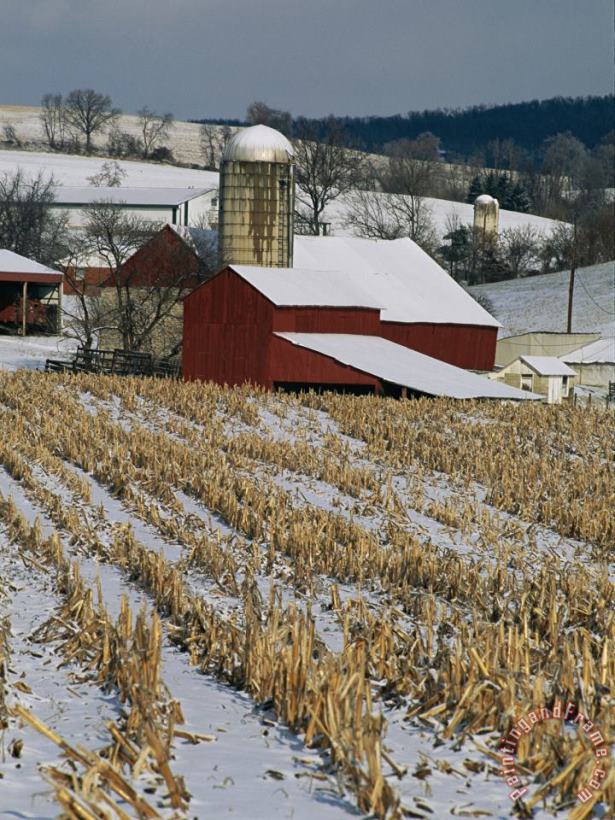 Raymond Gehman Corn Stubble And Barn in a Wintery Pennsylvania Landscape Art Painting
