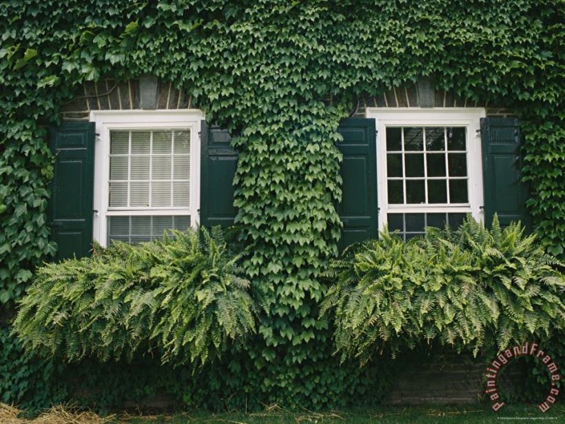 Detail of The Ivy Covered James Fenimore Cooper House painting - Raymond Gehman Detail of The Ivy Covered James Fenimore Cooper House Art Print