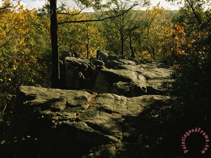 Raymond Gehman Fall Foliage And Boulders on The Appalachian Trail Art Print