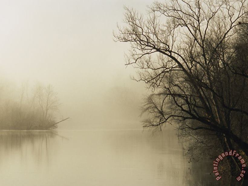 Fog Hovers Above The James River painting - Raymond Gehman Fog Hovers Above The James River Art Print