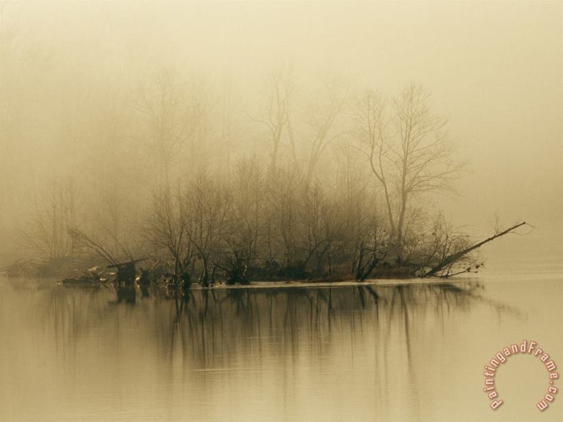 Fog Hovers Above The James River at Dawn painting - Raymond Gehman Fog Hovers Above The James River at Dawn Art Print