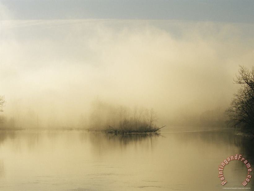 Raymond Gehman Fog Surrounds a Small Island in The James River at Dawn Art Painting