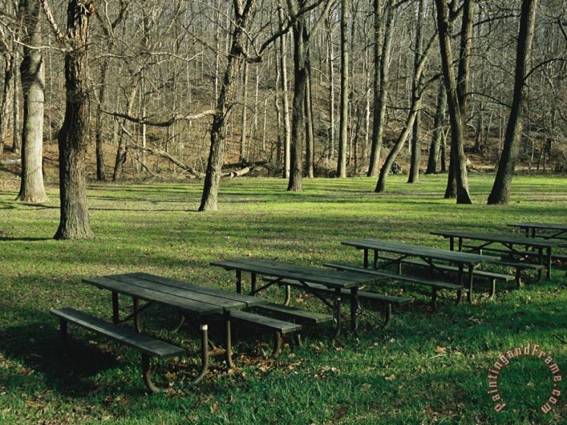 Raymond Gehman Green Picnic Tables And Benches in a Clearing Near Hardwood Trees Art Painting