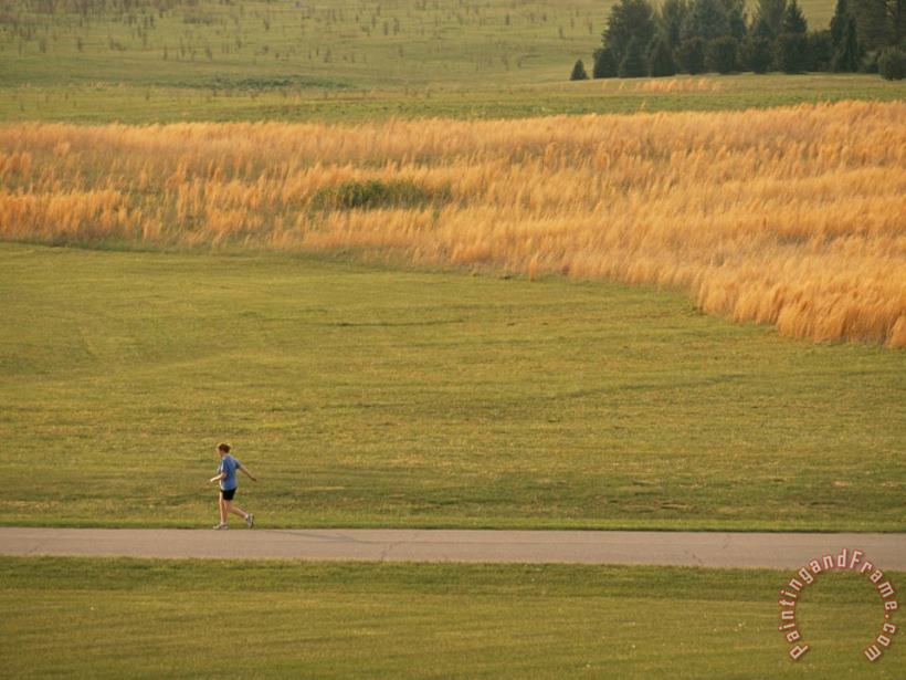 Raymond Gehman Jogger Running on a Path Through a Big Meadow Art Painting