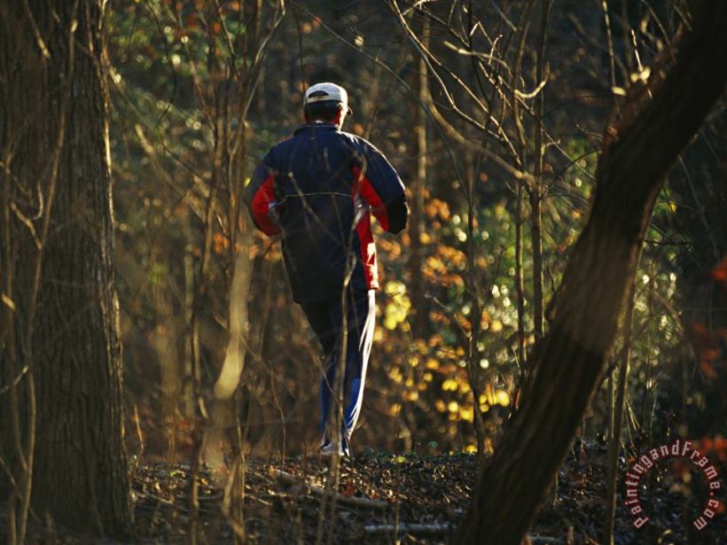 Raymond Gehman Jogger Running on Sun Dappled Trail Through Rock Creek Park Art Painting