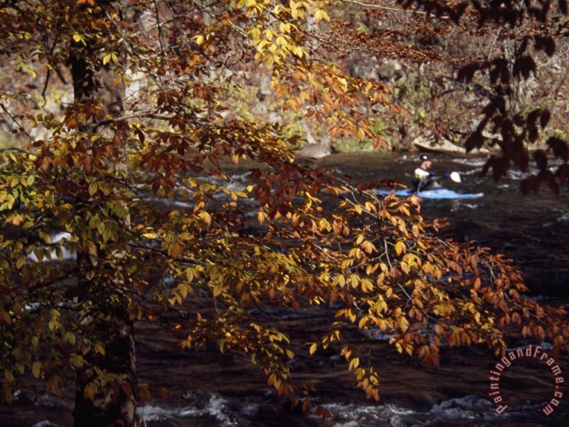 Raymond Gehman Kayaker on The Nantahala River Seen Through Birch Tree Branches Art Painting