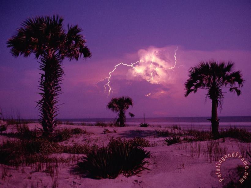 Lightning Illuminates The Purple Sky Over Cumberland Island National Seashore painting - Raymond Gehman Lightning Illuminates The Purple Sky Over Cumberland Island National Seashore Art Print