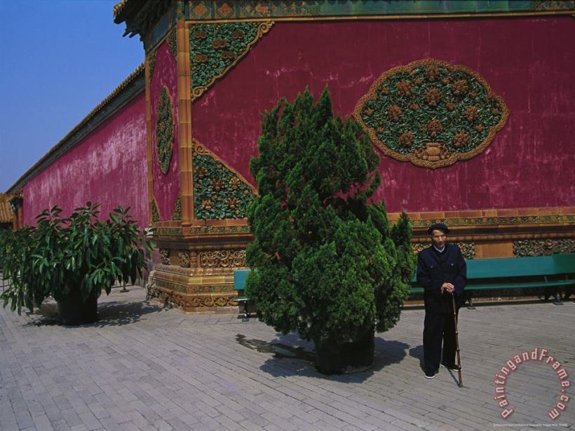 Man Stands Beside a Juniper Bush in The Forbidden City in Beijing painting - Raymond Gehman Man Stands Beside a Juniper Bush in The Forbidden City in Beijing Art Print