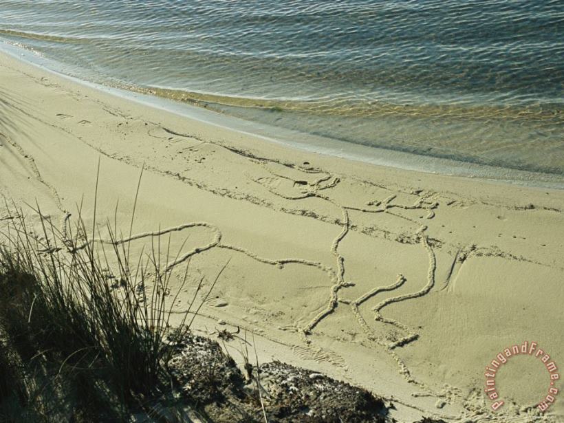 Raymond Gehman Mole Cricket Burrows Form Patterns on The Sandy Beach Art Print