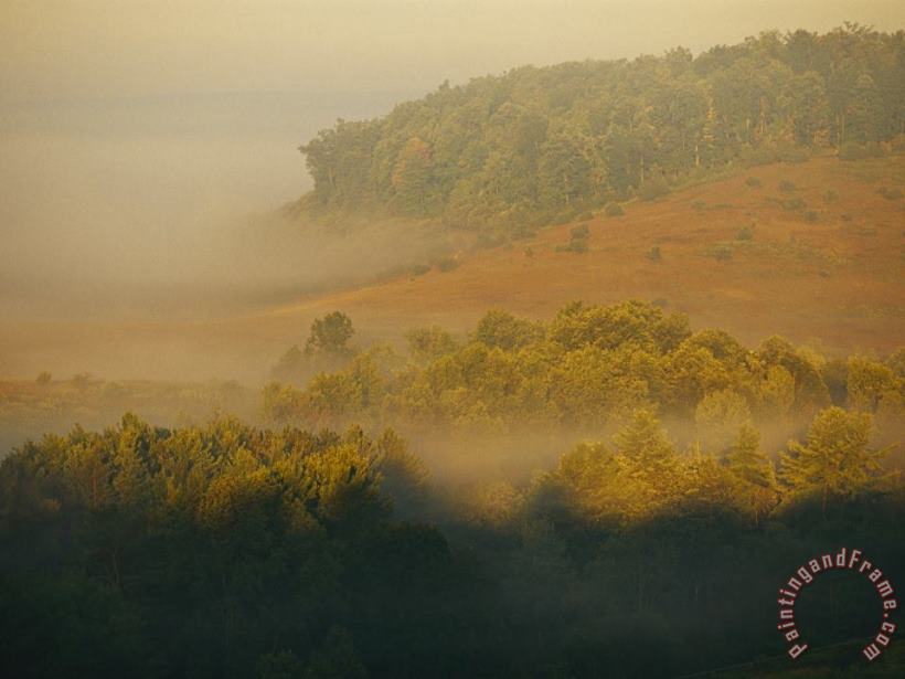 Raymond Gehman Morning Fog Rises From The Forest Art Print