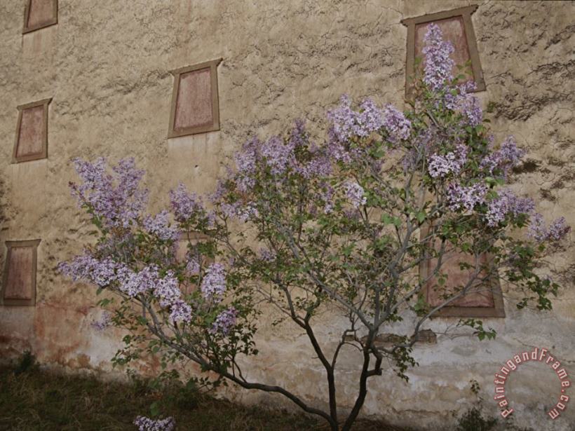 Raymond Gehman Potala Temple And Lilac Tree Art Painting