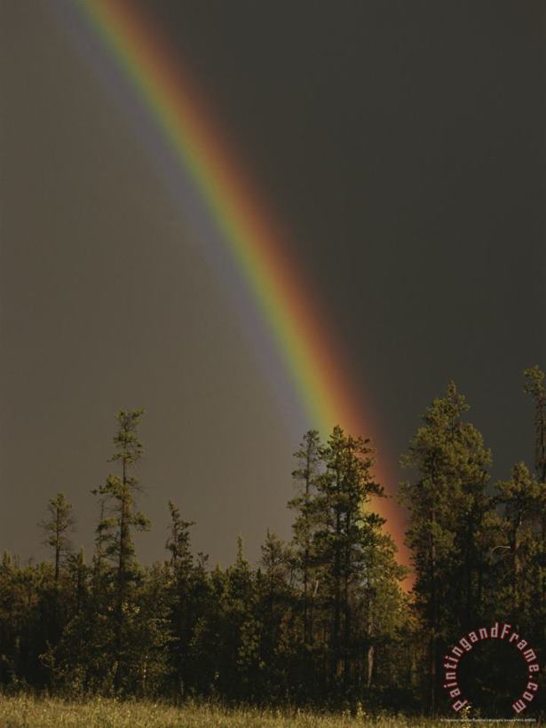 Raymond Gehman Rainbow Arches Above a Stone Mountain Forest Following a Rainstorm Art Painting