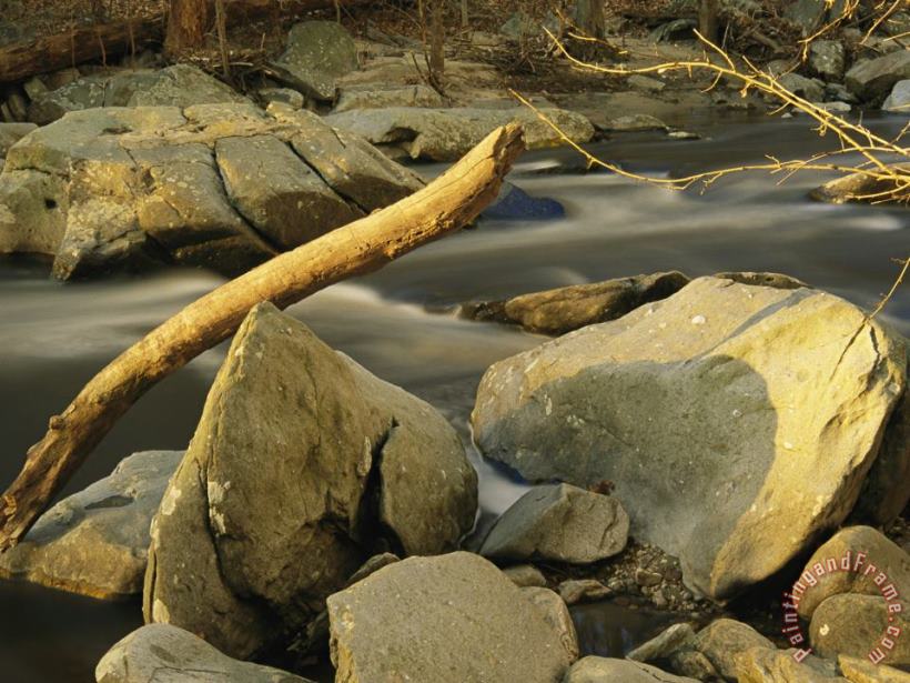 Raymond Gehman Rock Creek Rushes Past Large Boulders And Driftwood at Sunset Art Print