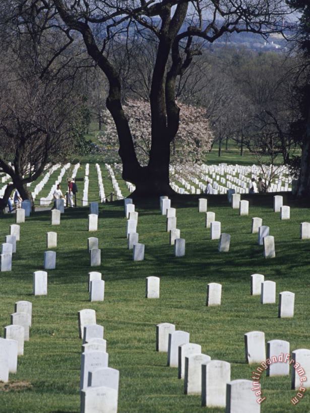 Raymond Gehman Rows of Tombstones Line The Fields of Arlington National Cemetery Art Painting