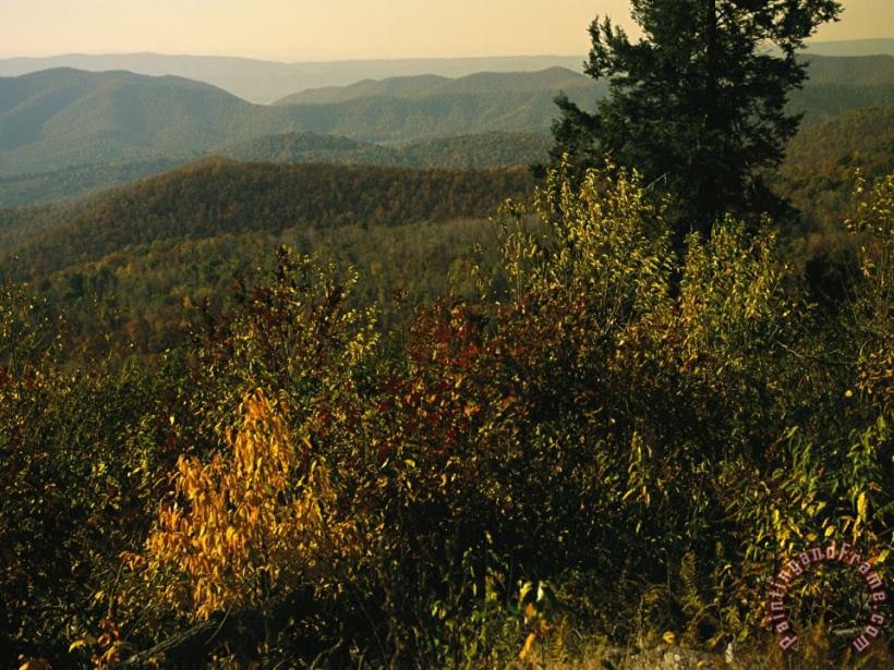 Raymond Gehman Scenic Overlook at Tanners Ridge with Blue Ridge Mountains Beyond Art Print