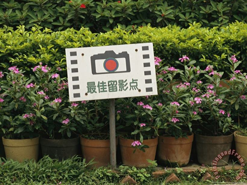 Raymond Gehman Sign in Front of Blooming Plants Indicates a Photo Opportunity Art Painting
