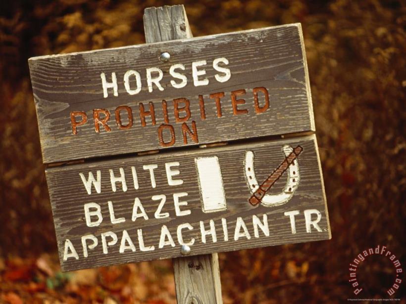 Sign Prohibiting Horses on The Appalachian Trail painting - Raymond Gehman Sign Prohibiting Horses on The Appalachian Trail Art Print