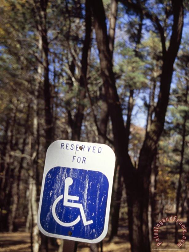 Sign Reserving Space for Handicapped Parking at a Day Use Picnic Area painting - Raymond Gehman Sign Reserving Space for Handicapped Parking at a Day Use Picnic Area Art Print