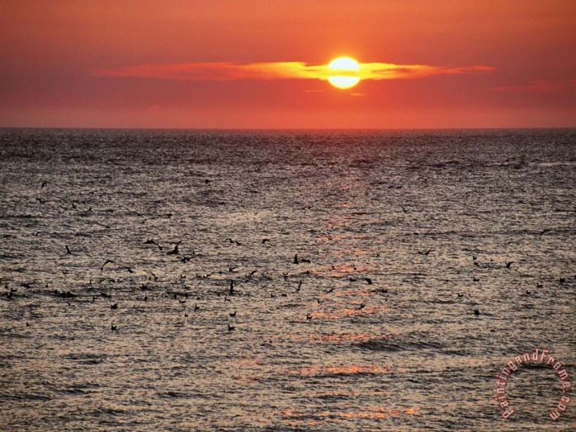 Sunset Over The Ocean painting - Raymond Gehman Sunset Over The Ocean Art Print