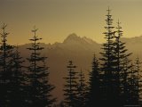 Buy Art Print