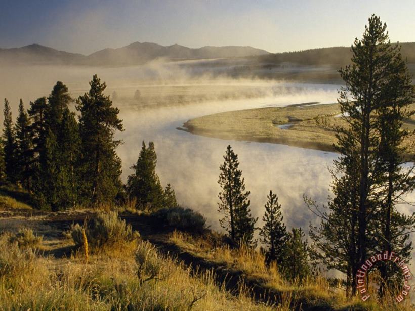 Raymond Gehman Veiled in Morning Mist The Yellowstone River Winds Through Hayden Valley Art Painting
