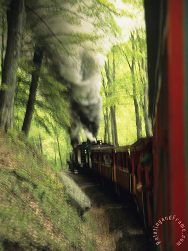 View of The Cass Scenic Railroad Train From The Caboose painting - Raymond Gehman View of The Cass Scenic Railroad Train From The Caboose Art Print