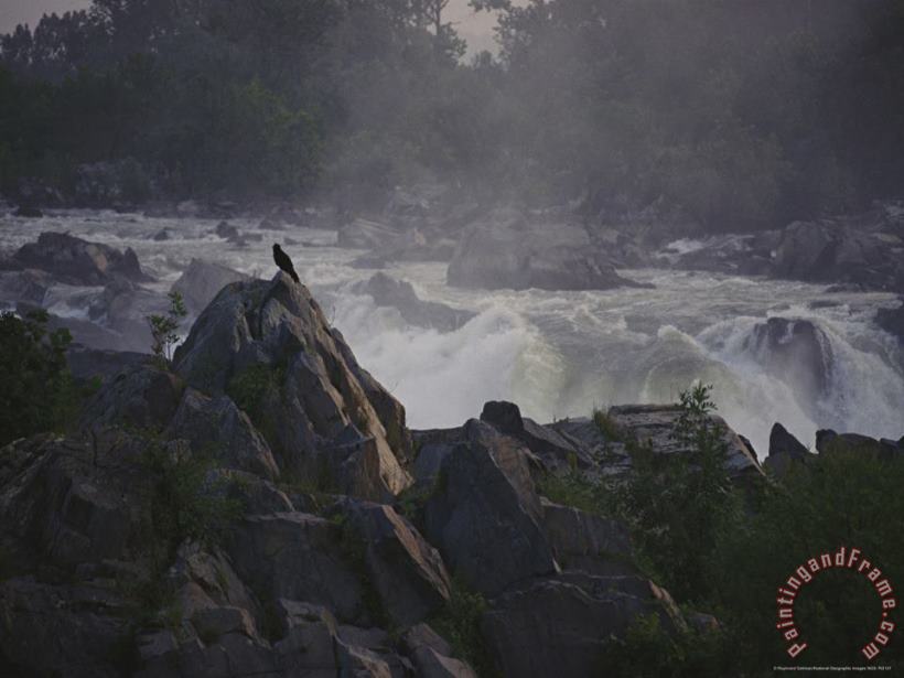 Raymond Gehman View of Waterfalls at Great Falls State Park at Dawn Art Painting