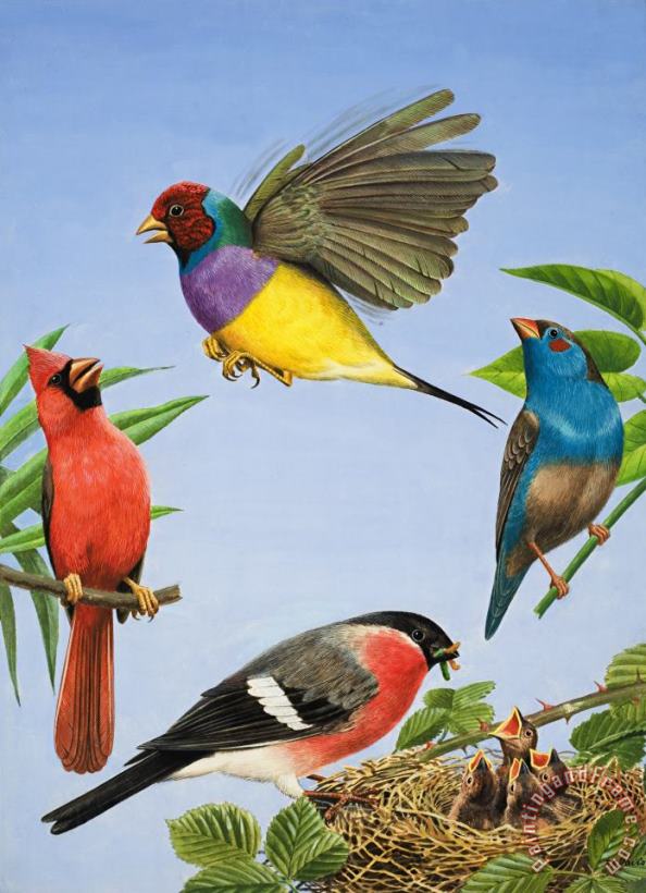 RB Davis Tropical Birds Art Painting