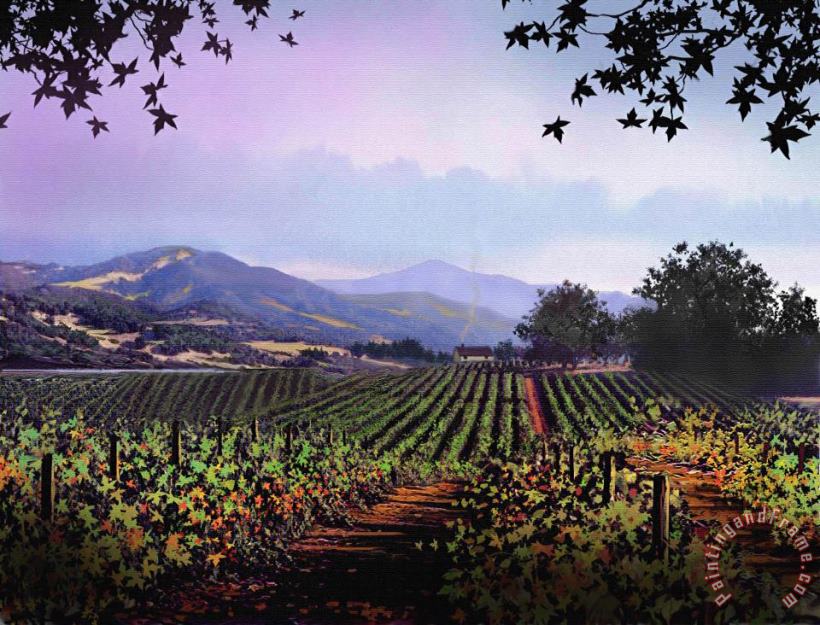 Vineyard Napa Sonoma painting - Robert Foster Vineyard Napa Sonoma Art Print