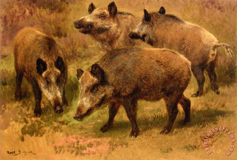 Four Boars in a Landscape painting - Rosa Bonheur Four Boars in a Landscape Art Print