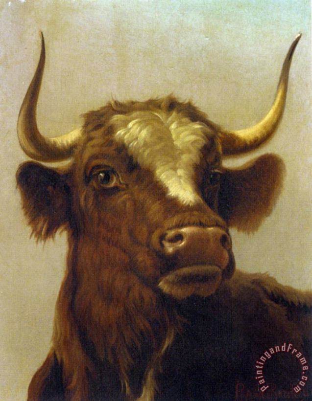 Rosa Bonheur Head of a Bull Art Painting
