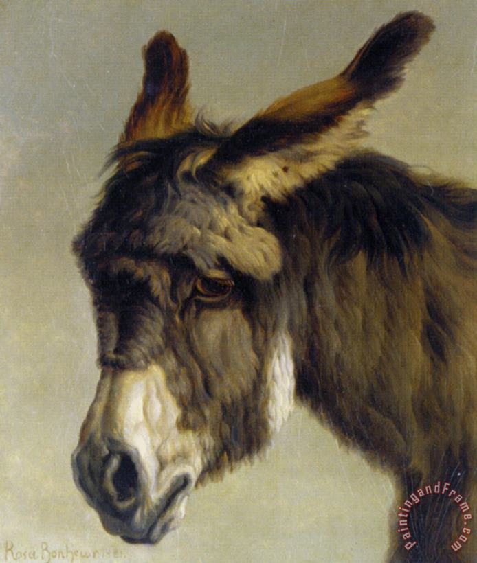 Head of a Donkey painting - Rosa Bonheur Head of a Donkey Art Print