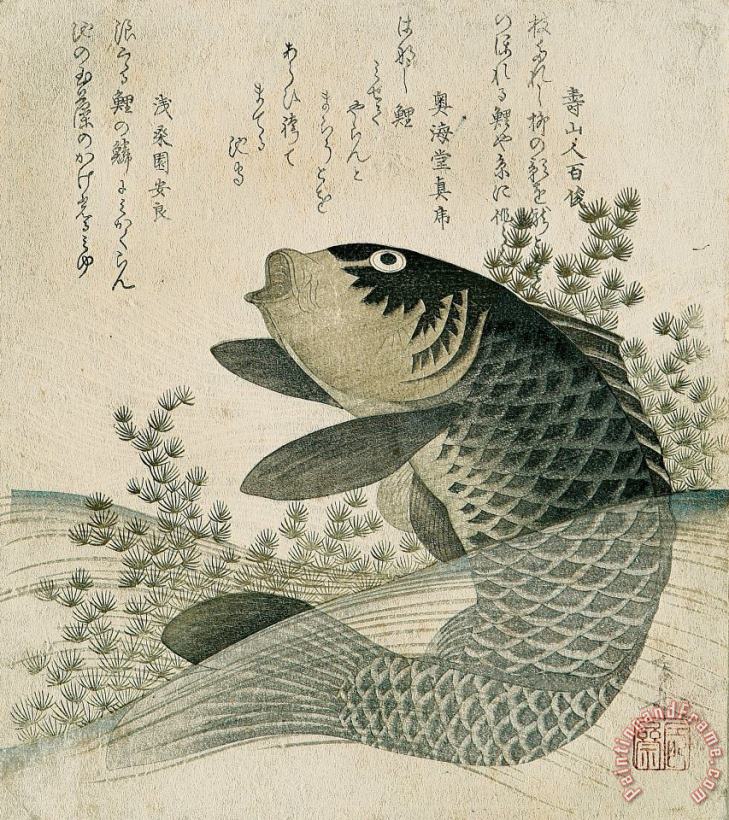 Ryuryukyo Shinsai Carp among pond plants Art Print