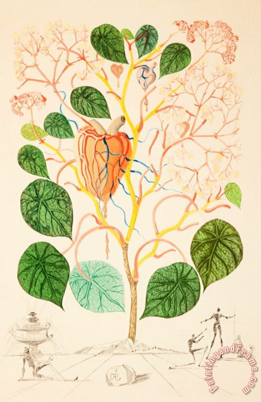 Salvador Dali Begonia (anacardium Recordans), From Flordali, 1968 Art Painting