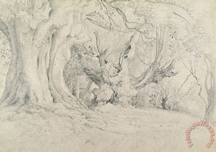 Samuel Palmer Ancient Trees Lullingstone Park Art Print