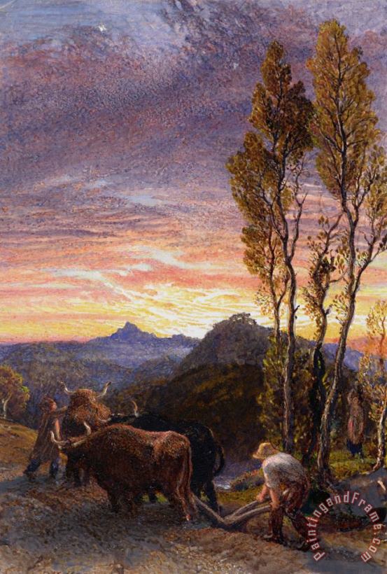 Samuel Palmer Oxen Ploughing At Sunset Art Print