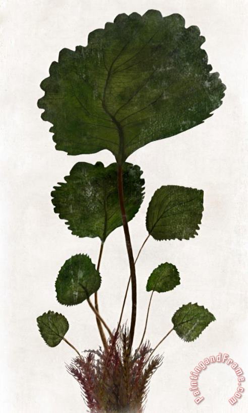 Sia Aryai Chlorophyll II Art Painting