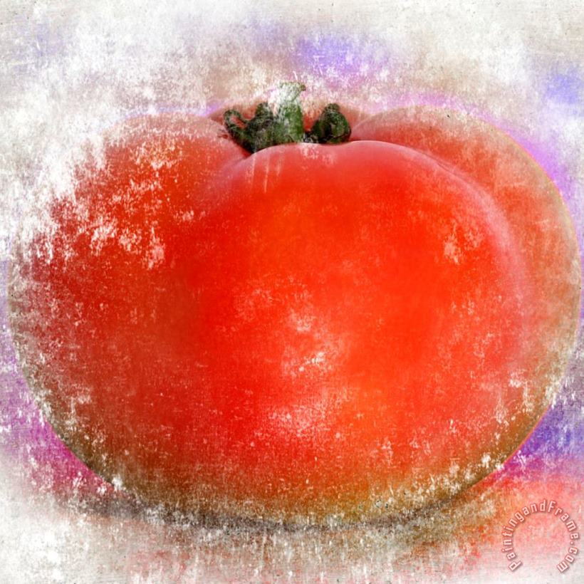 Sia Aryai Tomato Art Painting