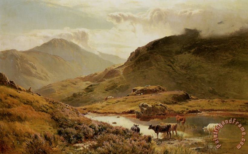 Cattle in a Highland Landscape painting - Sidney Richard Percy Cattle in a Highland Landscape Art Print