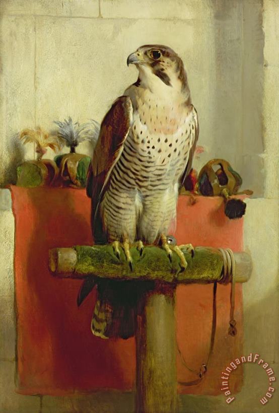 Falcon painting - Sir Edwin Landseer Falcon Art Print