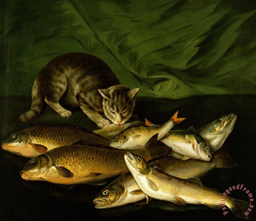 Stephen Elmer A Cat with Trout Perch and Carp on a Ledge Art Painting