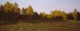 Stephen Gjertson Prints - Moonrise Over The Meadow by Stephen Gjertson