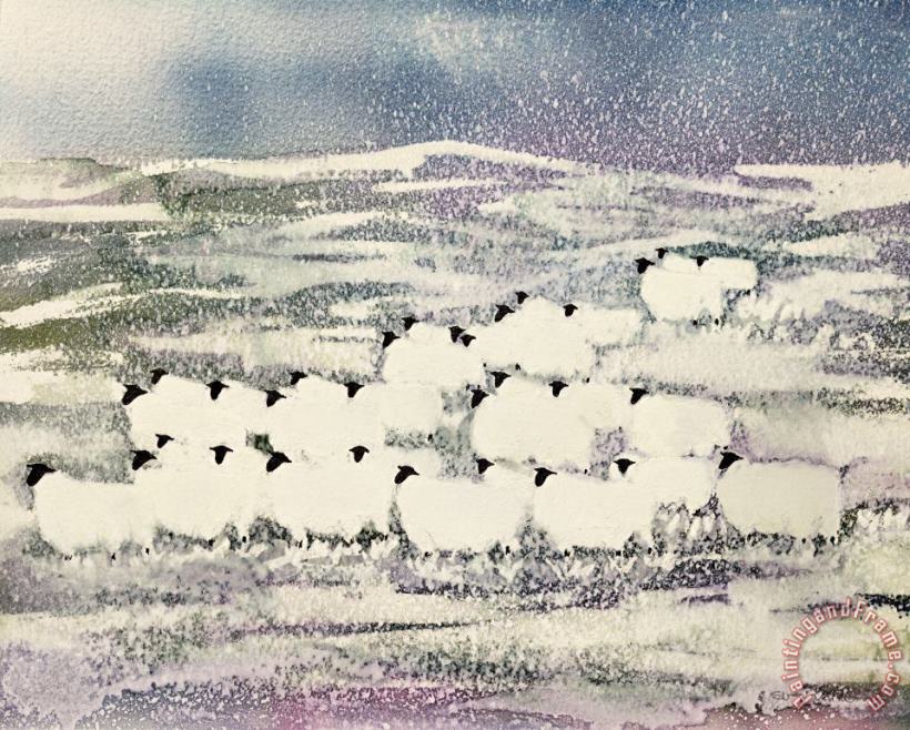 Sheep in Winter painting - Suzi Kennett Sheep in Winter Art Print