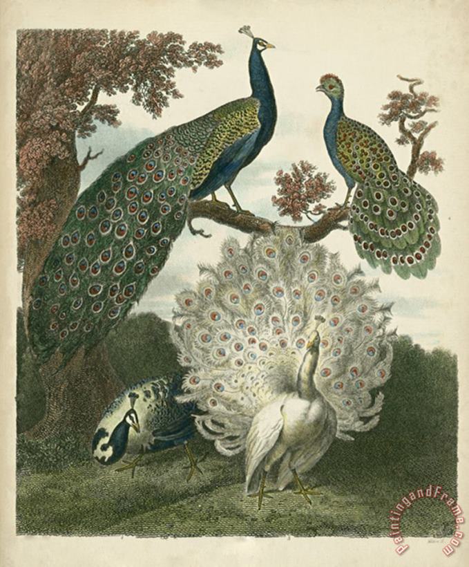 Sydenham Teast Edwards Peacock Gathering Art Painting