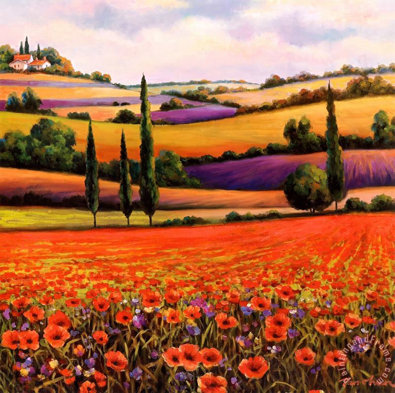 Fields of Poppies I painting - T. C. Chiu Fields of Poppies I Art Print