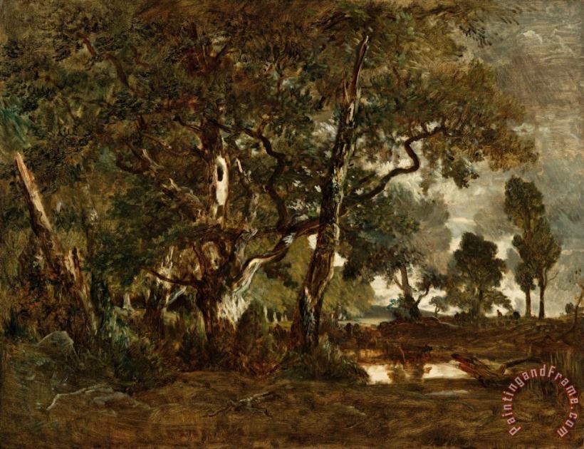 Forest of Fontainebleau, Cluster of Tall Trees Overlooking The Plain of Clair Bois at The Edge of Ba painting - Theodore Rousseau Forest of Fontainebleau, Cluster of Tall Trees Overlooking The Plain of Clair Bois at The Edge of Ba Art Print