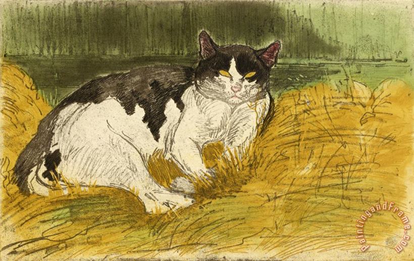 Vieux Chat Noir Et Blanc Dans L'herbe painting - Theophile Alexandre Steinlen Vieux Chat Noir Et Blanc Dans L'herbe Art Print
