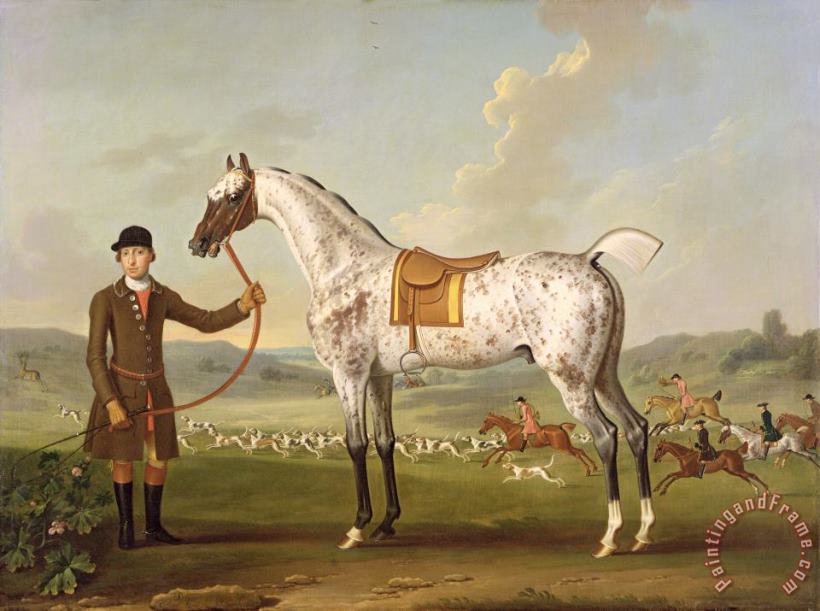Scipio - Colonel Roche's Spotted Hunter painting - Thomas Spencer Scipio - Colonel Roche's Spotted Hunter Art Print
