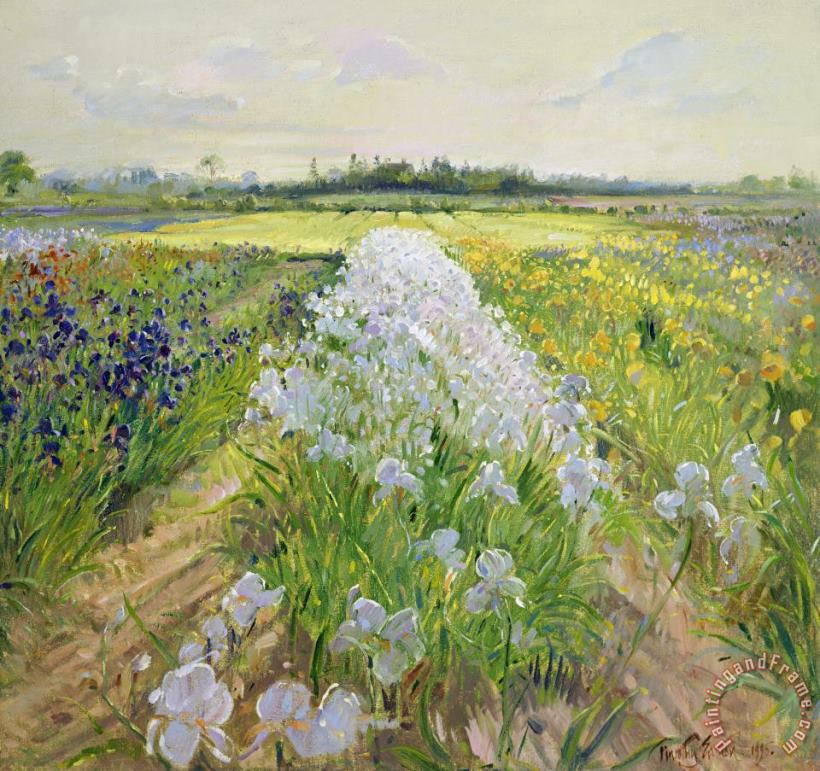 Timothy Easton Down the Line Art Painting